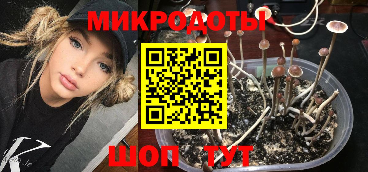 Шебекино  Псилоцибиновые грибы Cubensis  Галлюциногенные грибы GOLDEN TEACHER  Вход с VPN 